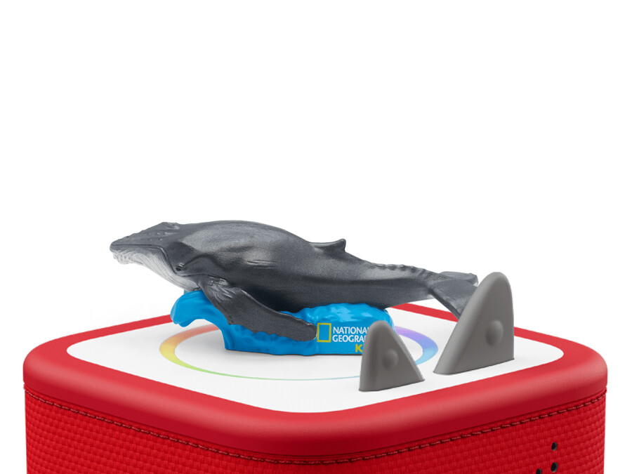 national geographic kids tonie a baleia