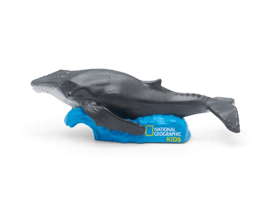 national geographic kids tonie a baleia