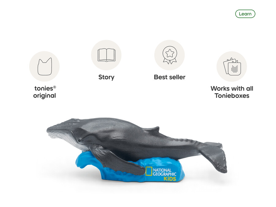 national geographic kids tonie a baleia