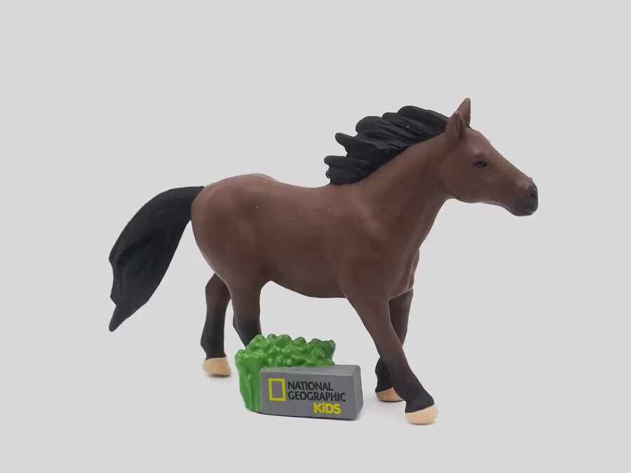 national geographic kids cavalo tonie