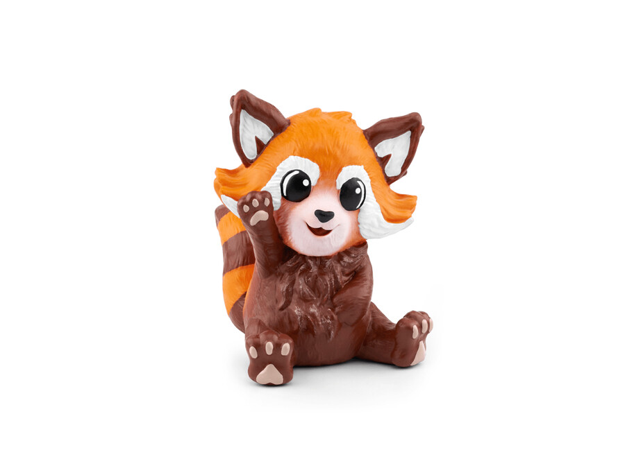 equipa de conservação nina a panda vermelha tonie